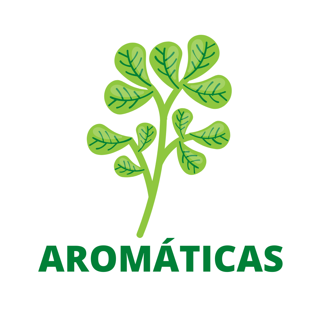 AROMATICAS