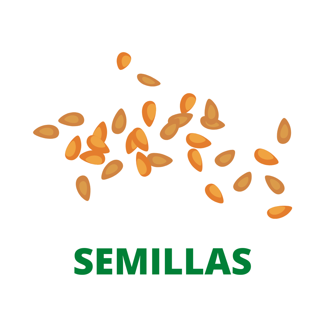 SEMILLAS