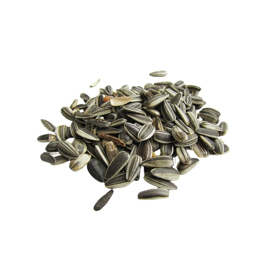 Semilla de girasol con cascara