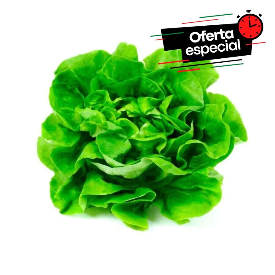 Lechuga Mantecosa x 2 (OFERTA)