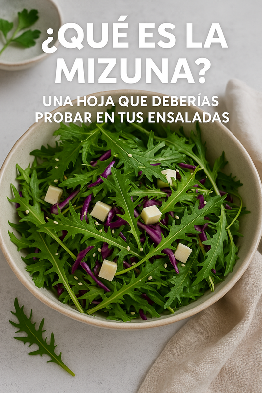 🥗 ¿Qué es la mizuna? Una hoja que deberías probar en tus ensaladas