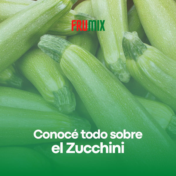 Zucchini: beneficios y recetas