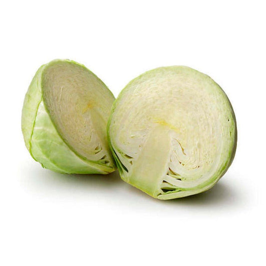 Repollo Blanco
