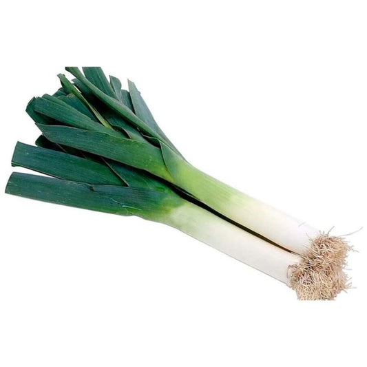 Puerro